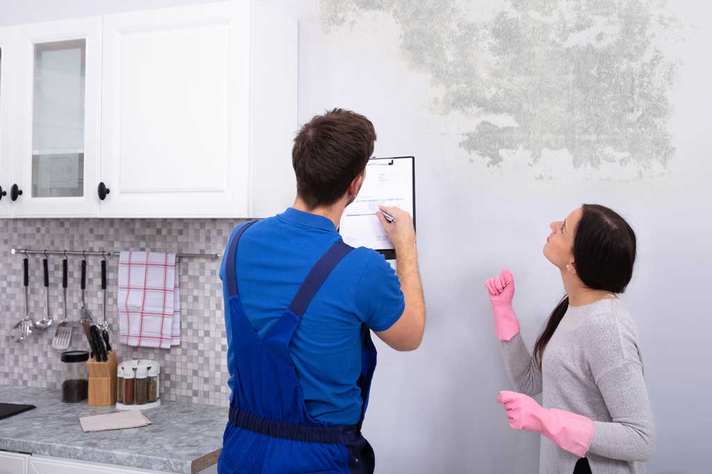 mold inspector mableton