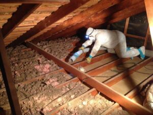 Trusted Experts Offering Efficient Attic Insulation Removal For Cleaner Indoor Environments